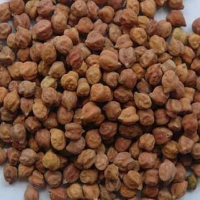 کالا چنا 5کلو