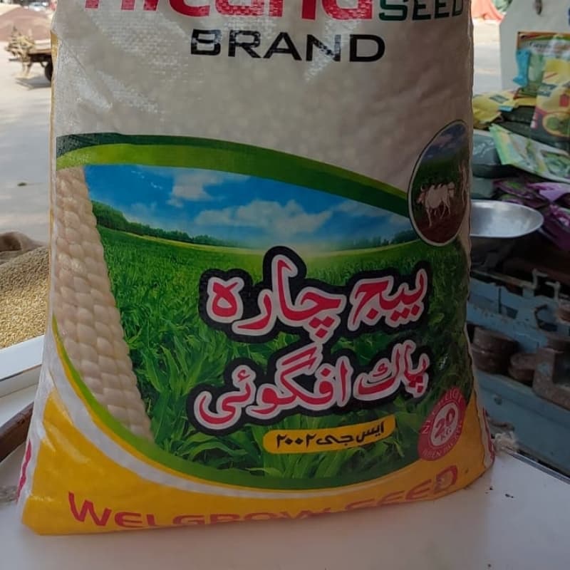 مکئی پاک افگوئی