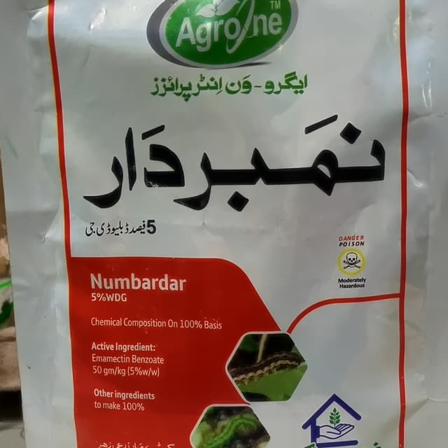 نمبردار دانے دار