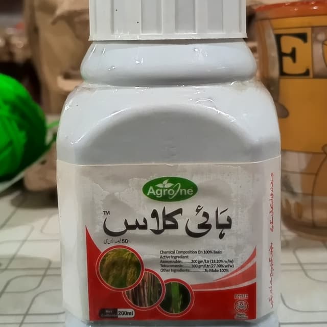ہائی کلاس
