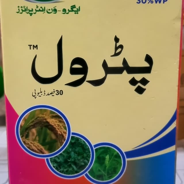 پٹرول پلس ایڈجوئینٹ